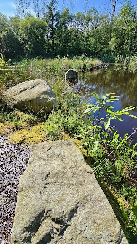 Woodlander Wales Pond Boulders